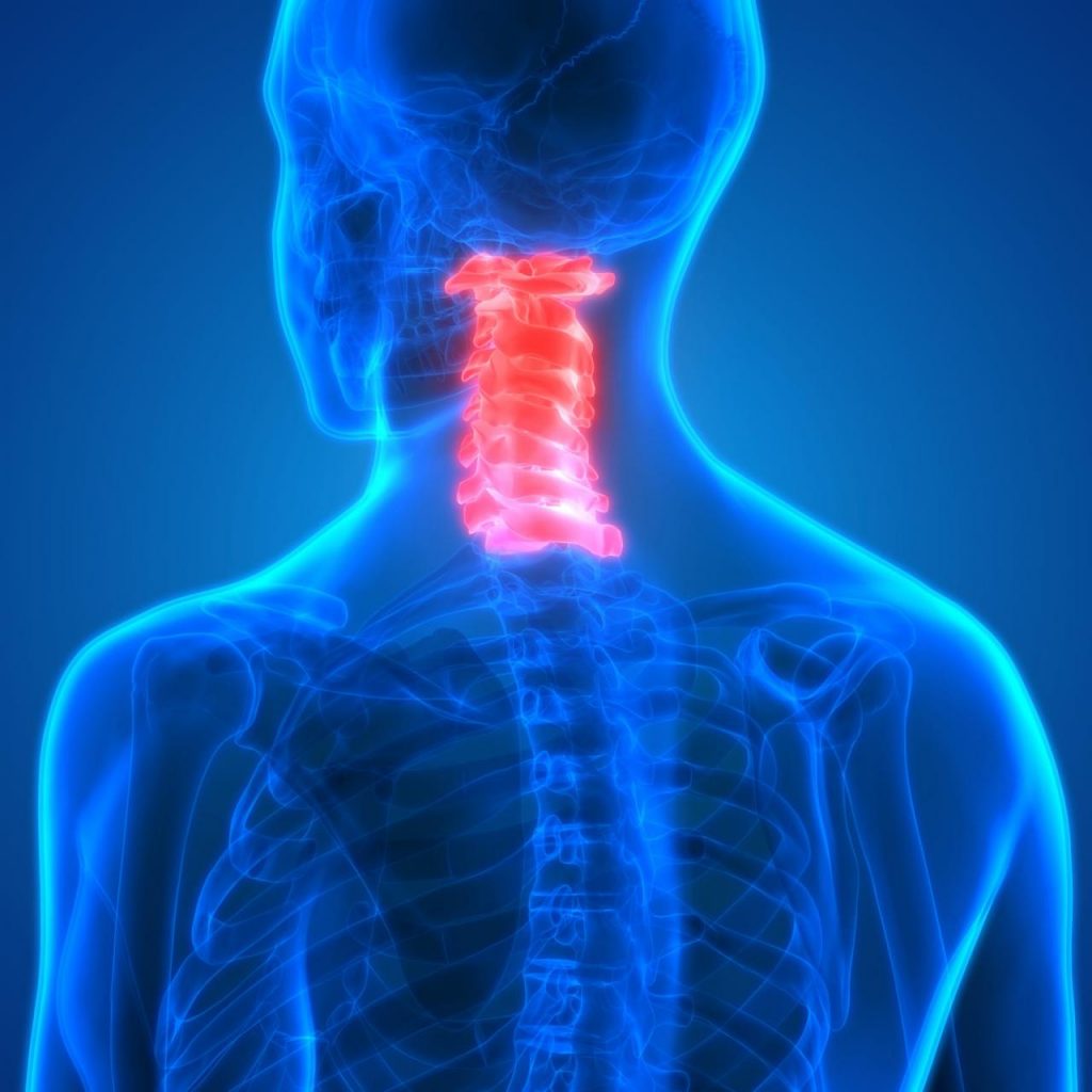 Cervical Spine Image