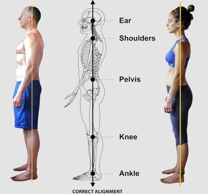How Can Proper Spine Alignment Improve Your Posture and Health?
