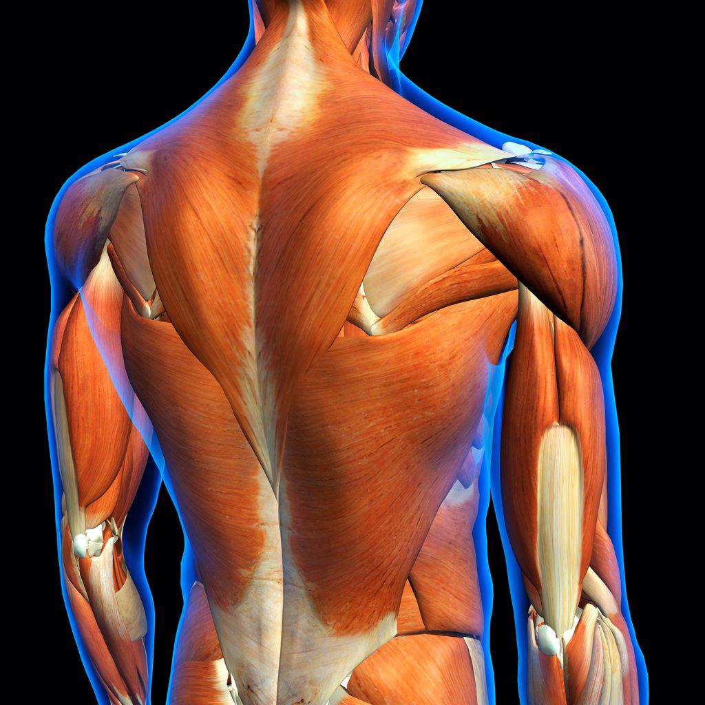 How Can You Alleviate Upper Back Pain? Discover Causes & Solutions