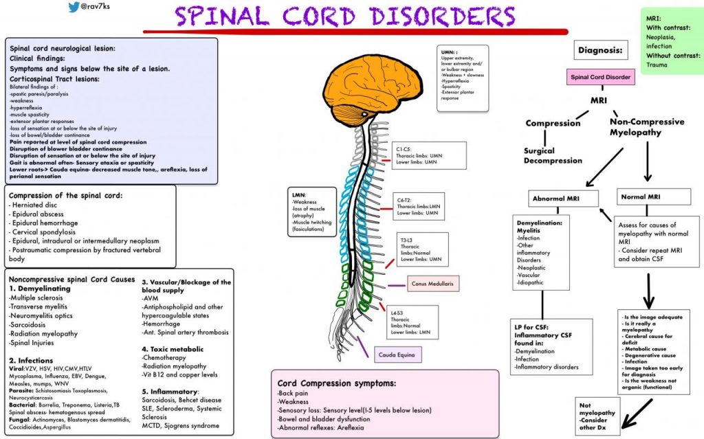 Understanding Degenerative Spine Conditions: Causes, Symptoms, and Treatments