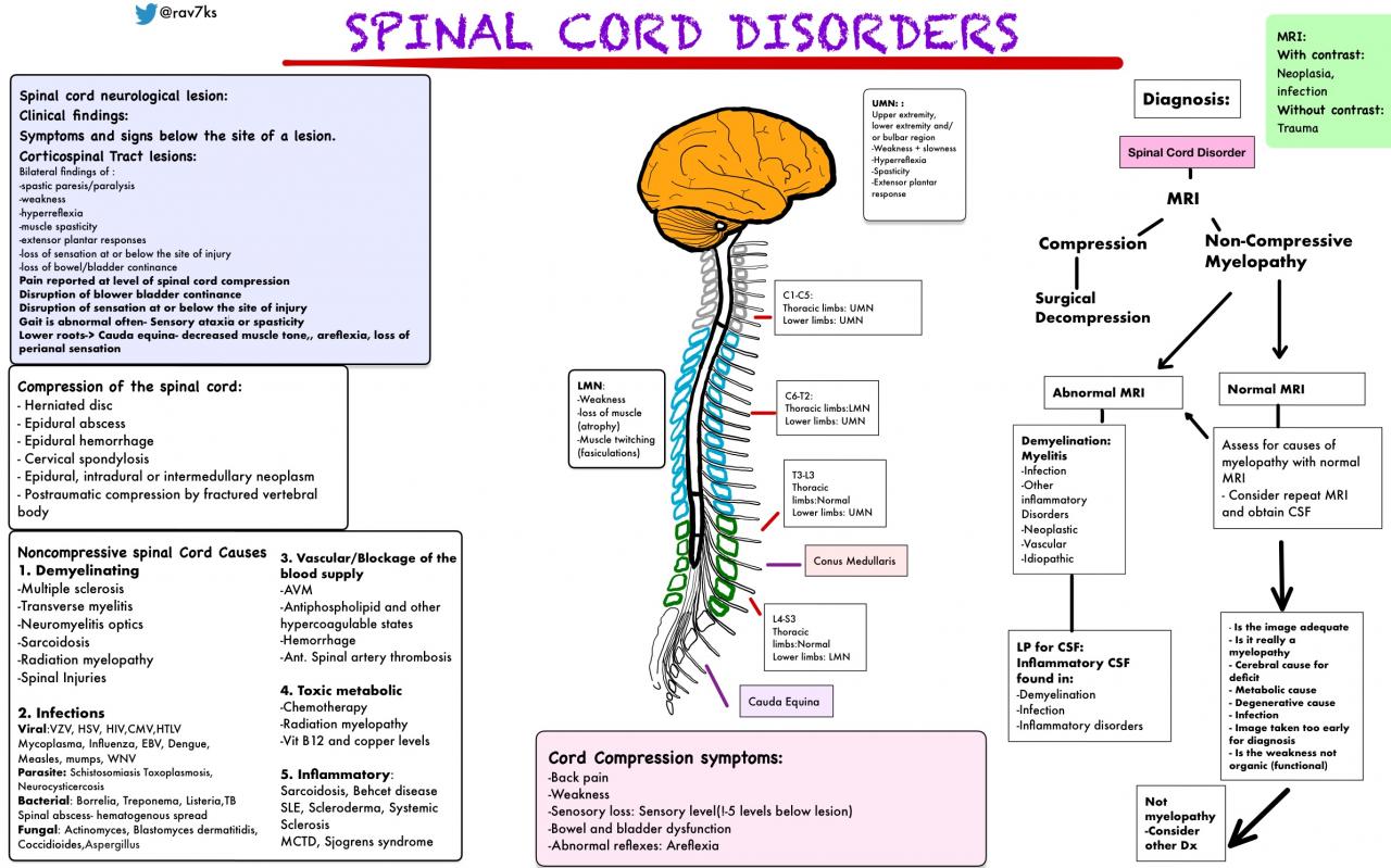 Understanding Degenerative Spine Conditions: Causes, Symptoms, and Treatments