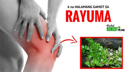 Exploring Natural Remedies for Rheumatoid Arthritis: A Comprehensive Guide