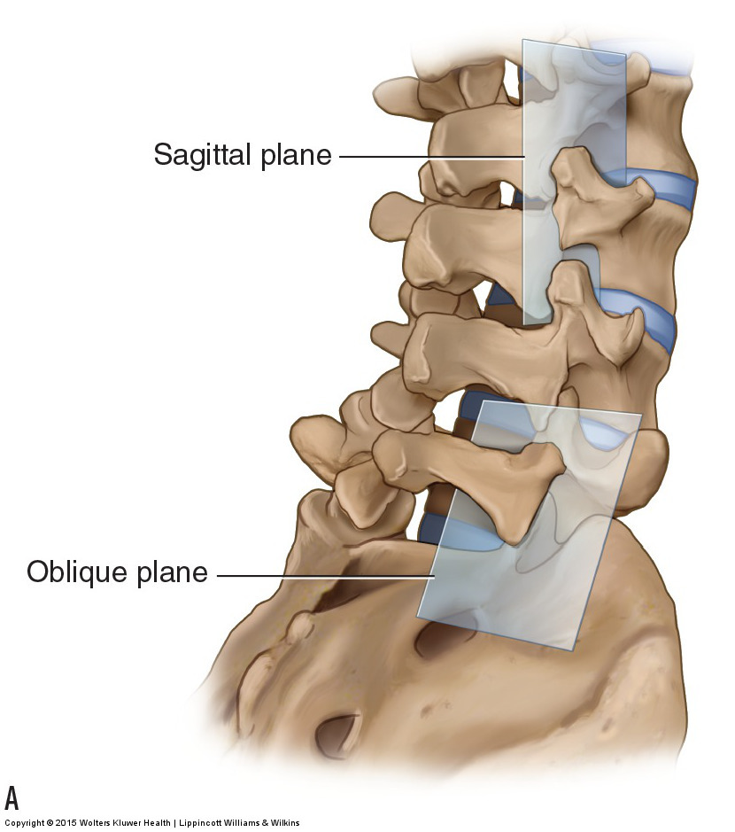 Understanding Degenerative Spine Conditions